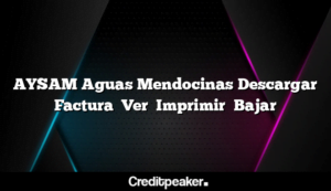 aysam-aguas-mendocinas-descargar-factura-ver-imprimir-bajar3-8559957-1130344-png