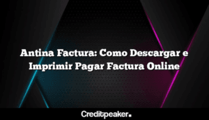 antina-factura-como-descargar-e-imprimir-pagar-factura-online3-5418318-9539879-png