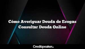 como-averiguar-deuda-de-ecogas-consultar-deuda-online3-5655679-5381823-png