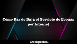 como-dar-de-baja-el-servicio-de-ecogas-por-internet3-7058700-1093129-png