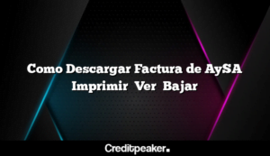 como-descargar-factura-de-aysa-imprimir-ver-bajar3-8193704-2060071-png