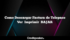 como-descargar-factura-de-telepase-ver-imprimir-bajar3-7595937-8539222-png