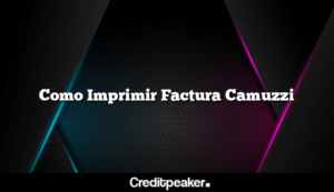 como-imprimir-factura-camuzzi-5766598-3925164-png