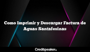 como-imprimir-y-descargar-factura-de-aguas-santafesinas3-7611389-1074741-png