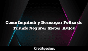 como-imprimir-y-descargar-poliza-de-triunfo-seguros-motos-autos3-9888323-6041440-png