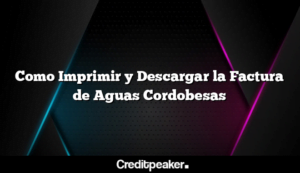 como-imprimir-y-descargar-la-factura-de-aguas-cordobesas3-2238792-9455881-png