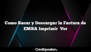 como-sacar-y-descargar-la-factura-de-emsa-imprimir-ver3-9138929-4107490-png