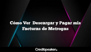 como-ver-descargar-y-pagar-mis-facturas-de-metrogas3-9271876-9575416-png