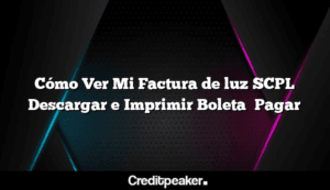 como-ver-mi-factura-de-luz-scpl-descargar-e-imprimir-boleta-pagar3-6095920-2037372-png