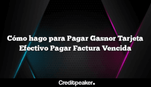 como-hago-para-pagar-gasnor-tarjeta-efectivo-pagar-factura-vencida3-1136086-8844911-png