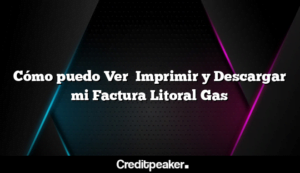 como-puedo-ver-imprimir-y-descargar-mi-factura-litoral-gas3-2754360-7517608-png