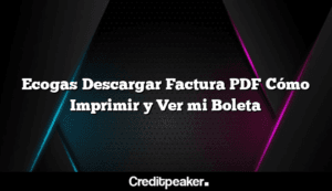 ecogas-descargar-factura-pdf-como-imprimir-y-ver-mi-boleta5-1500211-3320289-png
