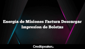 energia-de-misiones-factura-descargar-impresion-de-boletas3-6321565-8664450-png