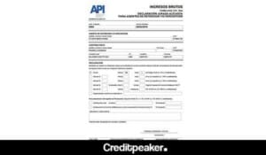 formulario-1276-ingresos-brutos-ejemplo-4207654-6776036-jpg