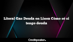 litoral-gas-deuda-en-linea-como-se-si-tengo-deuda3-9311392-7520087-png
