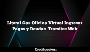 litoral-gas-oficina-virtual-ingresar-pagos-y-deudas-tramites-web3-8280054-7212537-png