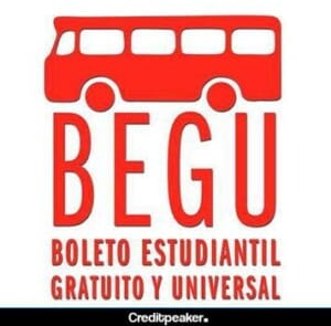 que-es-el-begu-1-1127291-5362607-jpg