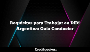 requisitos-para-trabajar-en-didi-argentina-guia-conductor3-9847908-2647324-png