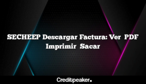 secheep-descargar-factura-ver-pdf-imprimir-sacar3-2015741-6134402-png