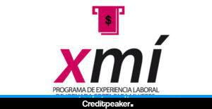 programa-xmi-300x155-1-1450685-3234532-jpg