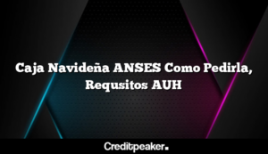 caja-navidena-anses-como-pedirla-requsitos-auh2-6862714-2760078-png