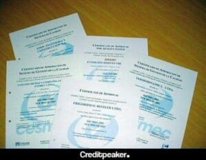 certificado-de-importacion6-4453000-8208301-jpg