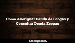 como-averiguar-deuda-de-ecogas-y-consultar-deuda-ecogas3-2070481-2134622-png