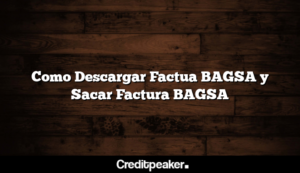 como-descargar-factua-bagsa-y-sacar-factura-bagsa3-1654368-2756504-png