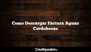 como-descargar-factura-aguas-cordobesas3-9111933-5053172-png