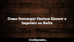 como-descargar-factura-gasnor-e-imprimir-en-salta3-2720166-9357093-png