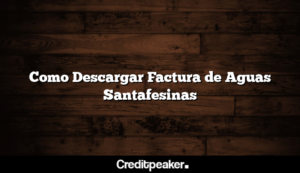 como-descargar-factura-de-aguas-santafesinas3-4739008-3550997-png