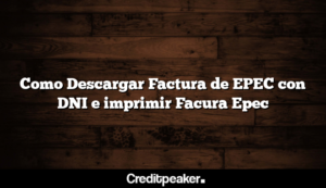 como-descargar-factura-de-epec-con-dni-e-imprimir-facura-epec3-9198832-4151165-png