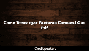 como-descargar-facturas-camuzzi-gas-pdf3-2547692-5623374-png