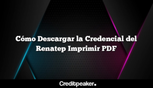 como-descargar-la-credencial-del-renatep-imprimir-pdf2-9182246-7591071-png