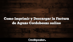 como-imprimir-y-descargar-la-factura-de-aguas-cordobesas-online1-1987915-1505396-png