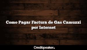 como-pagar-factura-de-gas-camuzzi-por-internet3-6352067-9841459-png