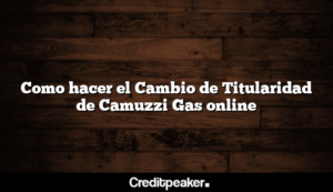 como-hacer-el-cambio-de-titularidad-de-camuzzi-gas-online3-4576451-9350685-png