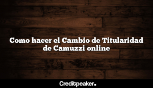 como-hacer-el-cambio-de-titularidad-de-camuzzi-online1-6612393-3281820-png