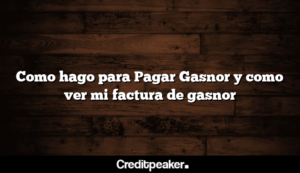 como-hago-para-pagar-gasnor-y-como-ver-mi-factura-de-gasnor3-2364642-9568046-png