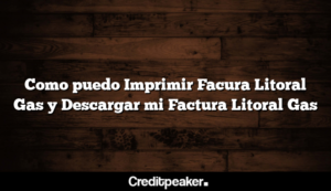 como-puedo-imprimir-facura-litoral-gas-y-descargar-mi-factura-litoral-gas1-9737260-6946553-png