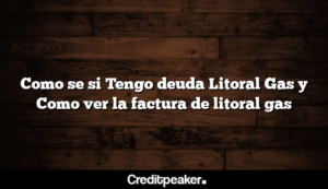 como-se-si-tengo-deuda-litoral-gas-y-como-ver-la-factura-de-litoral-gas3-3335537-2088053-png