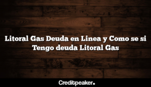 litoral-gas-deuda-en-linea-y-como-se-si-tengo-deuda-litoral-gas1-6134875-7306988-png