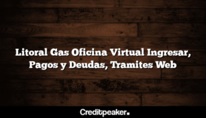 litoral-gas-oficina-virtual-ingresar-pagos-y-deudas-tramites-web1-4551708-6201869-png