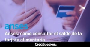 saldo_tarjeta_alimentaria-1024x538-1-4371290-3353741-jpg