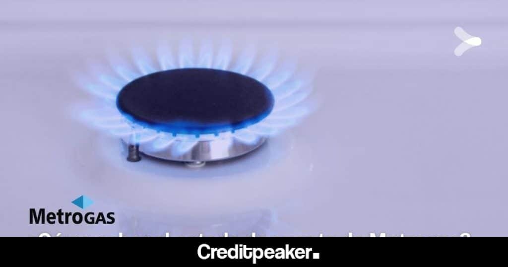 estado-de-cuenta-metrogas-1024x538-1-2452557-1482928-jpg